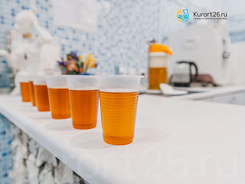 Клинический санаторий «Элорма», Кисловодск. Фитобар